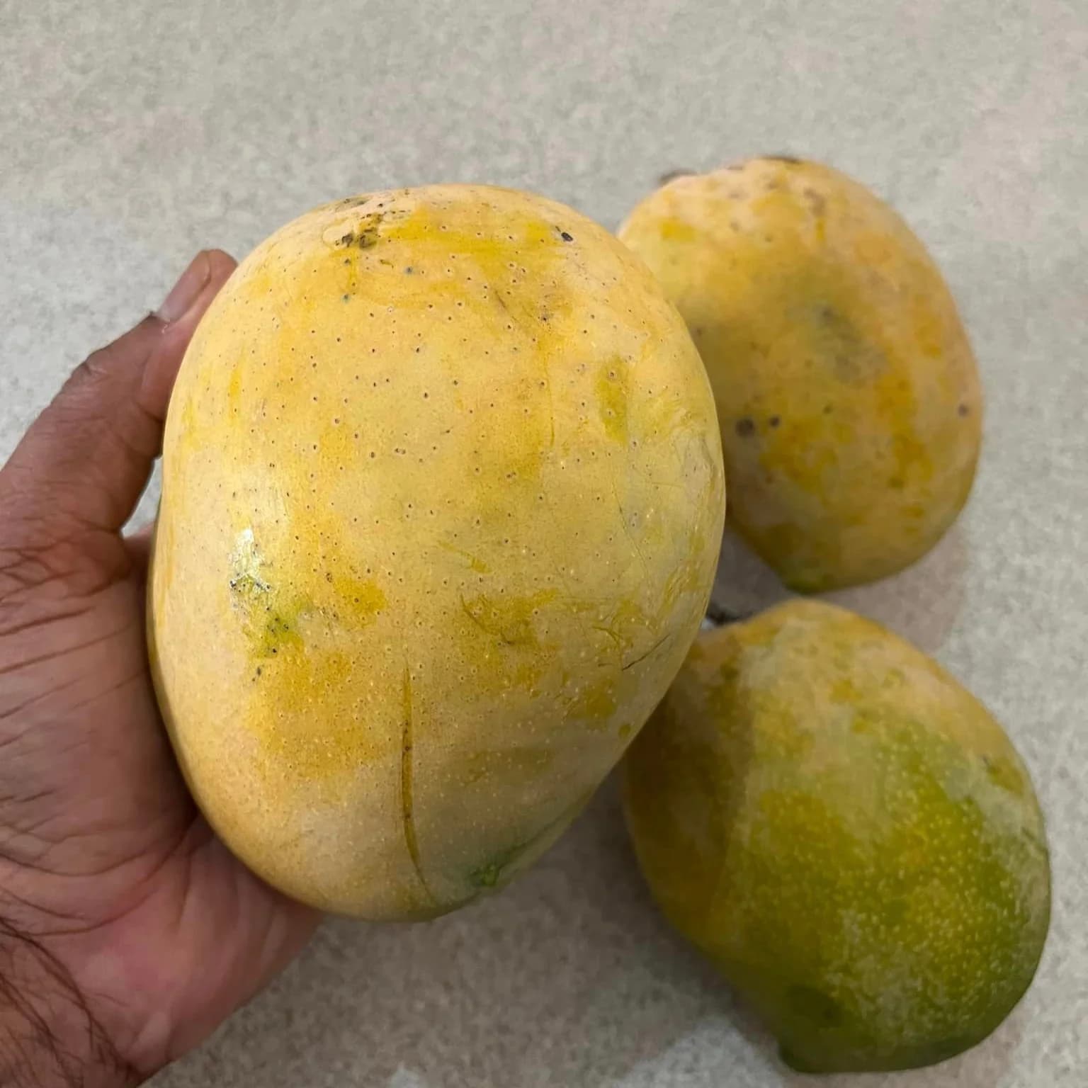 Rajapuri mango